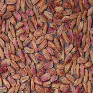 Akbari Pistachios Kernels