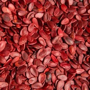 Red Watermelon Seeds