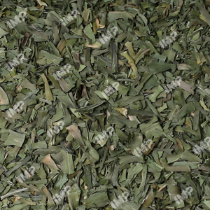 كراث الحديقة مجفف