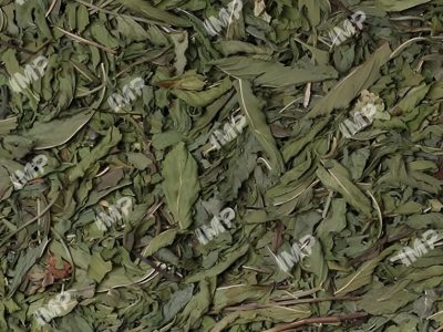 09- dried mint (1)