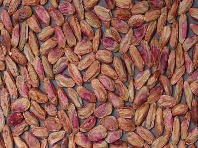 Akbari Pistachio Kernels