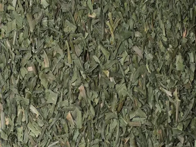 Dried Garden Leek
