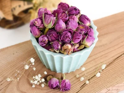 Mohammadi(Rose) flower buds