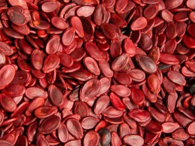 Red Watermelon Seeds