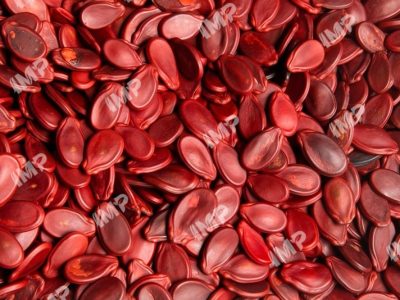 Red Watermelon Seeds_LE_upscale_ultra_x4_size_of_changes_10_intensity_10