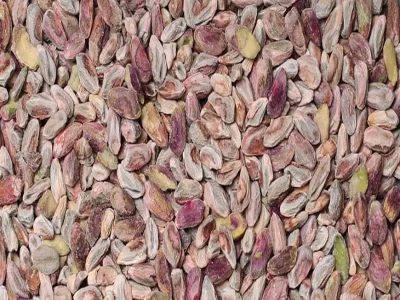 Wild Pistachio Kernels