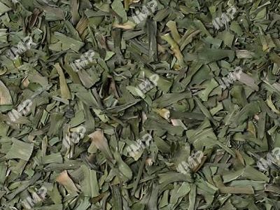 unblurimageai_06-Dry Garden Leek