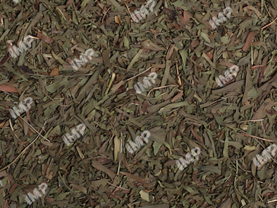 unblurimageai_07-Talkhon