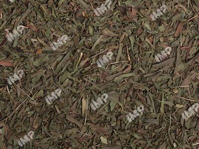 unblurimageai_07-Talkhon